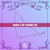 属鼠的人哪个属相能力强，属鼠的人配什么属相