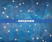 婚姻匹配的属相，十二生肖姻缘配对