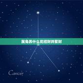 属兔养什么花招财并聚财，属兔的双鱼座女养什么花草招财