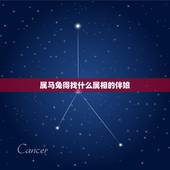 属马兔得找什么属相的伴娘，新郎属兔 新娘属马找什么样的伴娘？