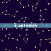十二生肖今日运势查询，十二生肖的运程