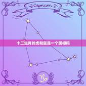 十二生肖的虎和鼠是一个属相吗，属虎的和属鼠的属相合不合