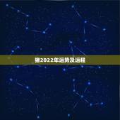 猪2022年运势及运程，2022属猪人的全年运势如何