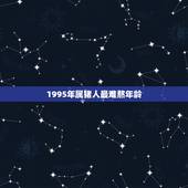 1995年属猪人最难熬年龄，83年属猪的灾难年