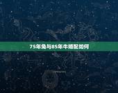 75年兔与85年牛婚配如何，75属兔女和85属牛男相配吗