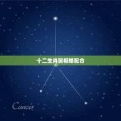 十二生肖属相婚配合，属相婚配的五行命相