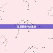 鼠星星是什么星座，十二星座老鼠是什么座