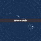 属兔的每日运势，属兔明日运势