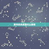 属羊的虎皮是什么属相，羊质虎皮是什么生肖