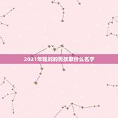 2021年姓刘的男孩取什么名字，2021.正月初八下午 6.17 男孩