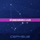 和马最配的属相是什么生肖，生肖马和什么属相配