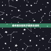 白羊座女和双子座男合适吗，白羊座女生和双子座男生在一起合适吗？