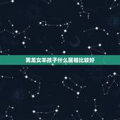 男龙女羊孩子什么属相比较好，男龙女羊婚姻相配好吗