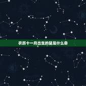 农历十一月出生的鼠是什么命，2022 年牛宝宝取名字