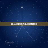 90马和93鸡的小孩属相什么，90年属马男与93年属鸡女婚配合适吗