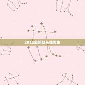2022最新款头像男生，2023最新个性头像男