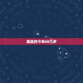 属鼠的今年60几岁，1960年今年多大属啥