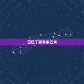 己巳丁卯辛未乙未，己巳与甲戌解释