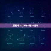 属相牛2021年4月26运气，属牛女2021年运势及运程每月运程