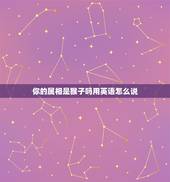 你的属相是猴子吗用英语怎么说，生肖属相在英语里怎么说？
