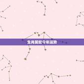 生肖属蛇今年运势，属蛇人今年运程