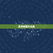 发财树图片头像，发财树的最佳造型图片