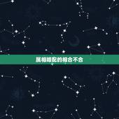 属相婚配的相合不合，属相婚配