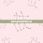 属狗与属羊的婚姻怎么样，属羊和属狗注定要离婚吗