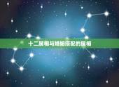 十二属相与婚姻搭配的属相，十二生肖婚姻配对最好呢？