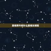 属相男牛和什么属相女婚配，男属牛的和什么属相相配最佳 &amp;#8211; 百度·