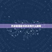 开店属相缺木的该用什么植物，五行属火缺木的人适合养什么花