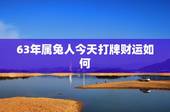 63年属兔人今天打牌财运如何，属兔的和属羊的结合财运如何