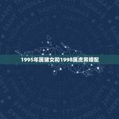 1995年属猪女和1998属虎男婚配，95年男属猪和98年女属虎婚配吗