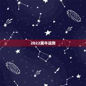 2022属牛运势，属牛人2022年每个月运势