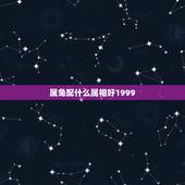 属兔配什么属相好1999，属兔和什么属相比较相配