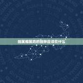 挂属相属鸡的挂钟应该在什么，家里挂钟怎么摆
