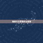 兔的六三合是什么生肖，属兔的六冲是什么生肖