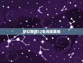 梦幻西游12生肖隐属相，梦幻西游里的12生肖宠物有什么不一样吗