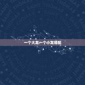 一个大龙一个小龙婚配，一个大龙一个小龙是否能配婚