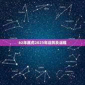 62年属虎2023年运势及运程，62年生虎女2023财运怎样？