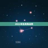 2022年生肖兔运势，2022年87年生肖兔运势