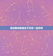 龙和猴的属相合不合在一起好吗，属龙的和属猴的合不合呀