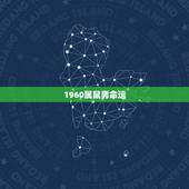 1960属鼠男命运，60年鼠一生命运如何