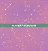 2022年属狗的运气怎么样，2022年属狗每月运势查询
