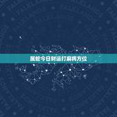 属蛇今日财运打麻将方位，2021属蛇今日打麻将财运如何
