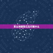 怎么知道自己五行属什么，怎么算自己的生辰八字