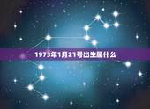 1973年1月21号出生属什么，公历1973年1月21日生的人属相是什