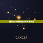 射手座12月感情运势执念很重，你好，请问射手座12月15日出生的人性格