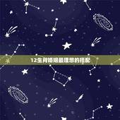 12生肖婚姻最理想的搭配，生肖匹配婚姻很重要吗