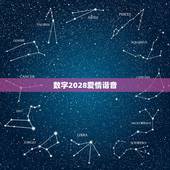数字2028爱情谐音，数字谐音1100